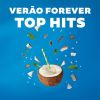 Download track Envolver