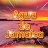Download track 2 / Catorce (Remix)