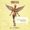 Download track Frances Farmer Will Have Her Revenge On Seattle (Demo / Instrumental)