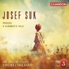 Download track 03. A Summer's Tale, Op. 29 III. Intermezzo Blind Musicians