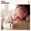 Download track Seaside Serenity