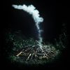 Download track Leith: Last Days, Act 3, Scene 4: The Magic Trick