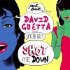 Download track She Shot Me Down (Extended)