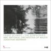 Download track Schmidt: Symphony No. 3 In A Major: IV. Lento - Allegro Vivace