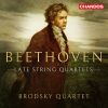 Download track 20. String Quartet No. 14 In C-Sharp Minor, Op. 131 V. Presto