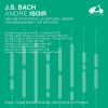 Download track Trio In D Minor, BWV 583