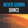 Download track There Isn't Any Limit To My Love