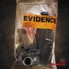 Download track Evidence