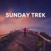 Download track Rain And Trees