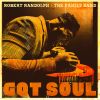Download track Got Soul