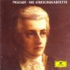 Download track Quartet In D Minor, KV 172 - 1. Allegro Ma Molto Moderato