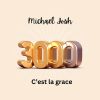 Download track Les Feux De L'amour