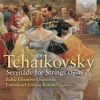 Download track Serenade For String Orchestra In C Major, Op. 48: II. Valse