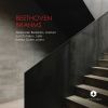Download track Clarinet Trio In A Minor, Op. 114 IV. Allegro