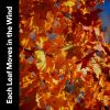 Download track 1 Hour Of Night Time Nature Sounds, Pt. 8