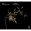Download track 02 - Ouverture In D Major, TWV55D15 II. Prélude (Très Vite)