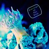 Download track Refractive Photons