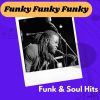 Download track A Funky Situation