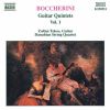 Download track Quintet In D Minor, G. 445: I. Allegro Moderato