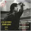 Download track Symphony No. 1 In C Minor, WAB 101 (1877 Linz Version, Haas Edition): I. Allegro [Live]