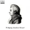 Download track Flute Concerto No. 2 In D Major, K. 314: II. Adagio Ma Non Troppo