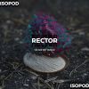 Download track Rector
