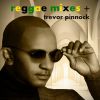 Download track Given A Chance (Reggae Mix)