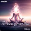 Download track 528Hz Serenade For The Soul
