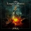 Download track The Devil's Bride