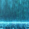 Download track Hiding Under The Tree In The Rain