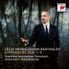 Download track Symphony No. 1 In C Minor, Op. 11: IV. Allegro Con Fuoco