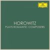 Download track Piano Sonata No. 21 In B-Flat Major, D. 960: 2. Andante Sostenuto