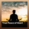 Download track Float Beyond Life