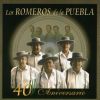 Download track Se Fue La Primavera De Mi Vida