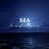 Download track Beautiful Sea Sounds