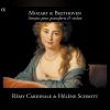 Download track Sonate Pour Le Clavecin Ou Pianoforte Avec L'accompagnement D'un Violon In E-Flat Major, KV 380: III. Rondo Allegro