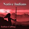 Download track Dances With Wolves (Native American Music)