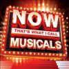 Download track I Don't Know How To Love Him
