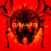 Download track Oxyacetylene (2017 Remaster)