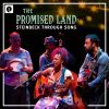 Download track Born To Run (Live)