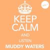 Download track Sittin' Here And Drinkin' (Whiskey Blues)