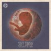 Download track Whole World (Frankey & Sandrino Remix)