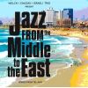 Download track Olmsted Blues
