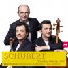 Download track Piano Trio No. 1 In B-Flat Major, Op. 99, D. 898: II. Andante Un Poco Mosso