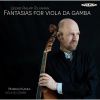 Download track 25. Fantasia XI In D Minor - I. Allegro