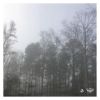 Download track How To Avoid Falling Icicles