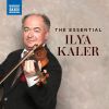Download track Violin Concerto In A Minor, Op. 82 III. Allegro Giocoso, Ma Non Troppo