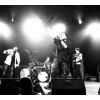 Download track Funky Bird