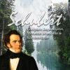 Download track Moments Musicaux, D. 780: No. 2 In A-Flat Major (Andantino)