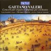 Download track 09. Concerto Per Organo E Orchestra In Si B Magg. - I. Allegro Moderato